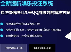 東莞正規(guī)公司精品站服務(wù) 提升您的互聯(lián)網(wǎng)信息服務(wù)體驗